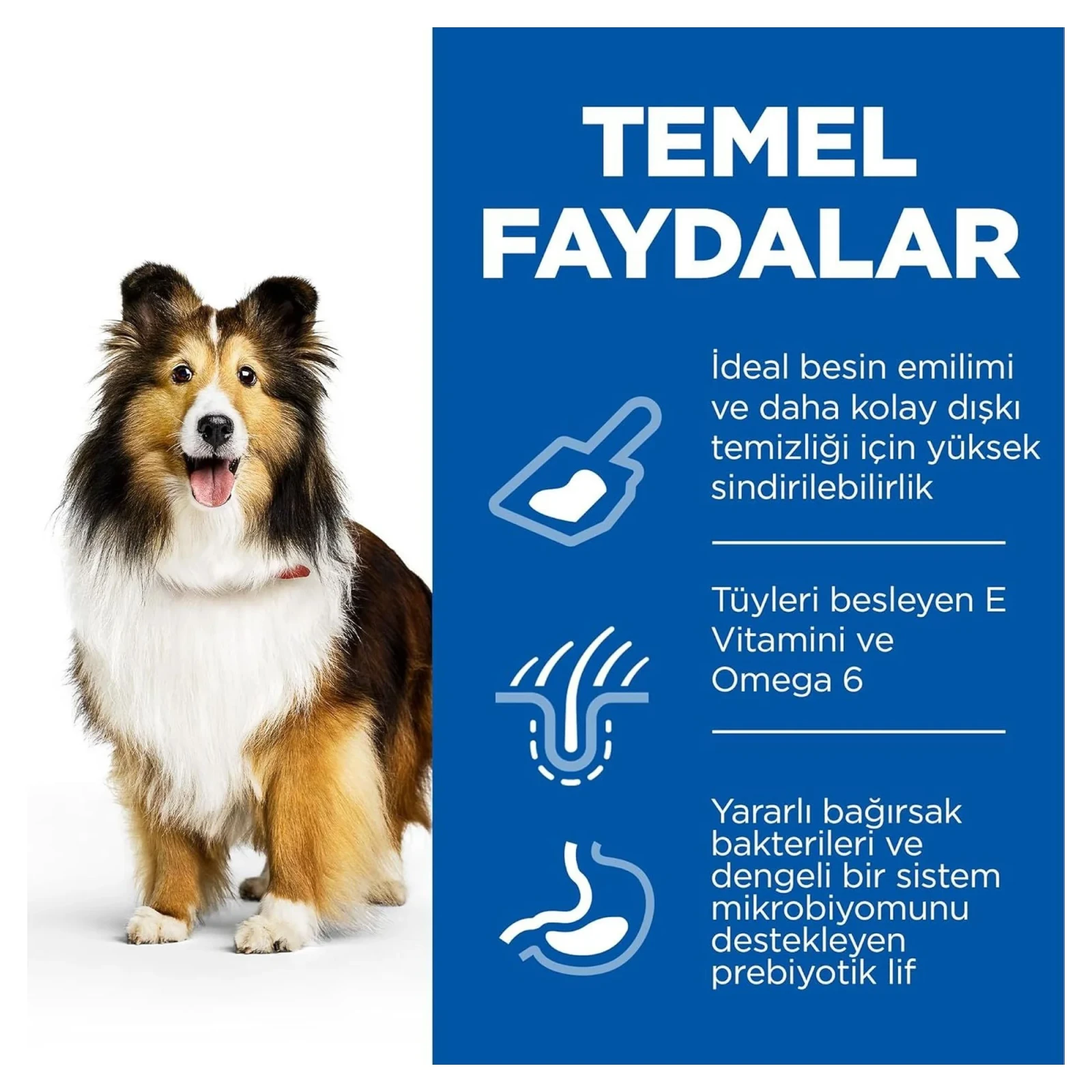 Hill's Science Plan Sensitive Stomach & Skin Tavuklu Orta ve Büyük Irk Yetişkin Köpek Maması 2.5 KG görsel 3