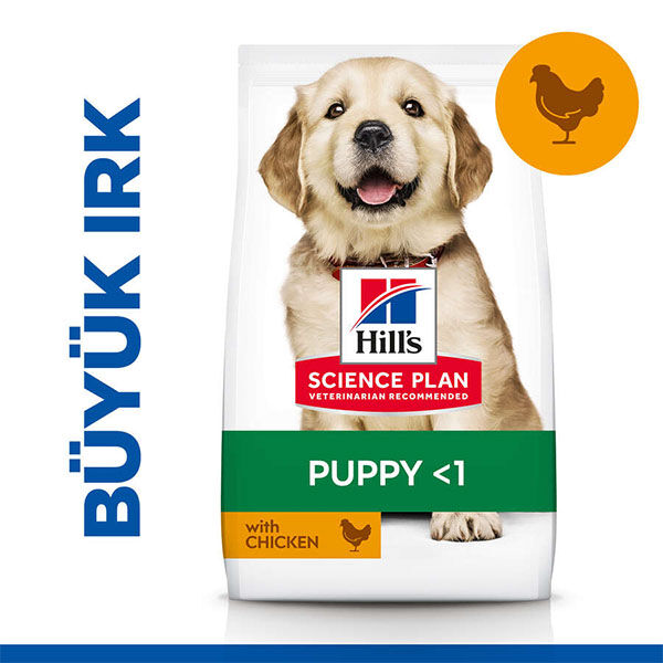 Hill's Science Plan Tavuklu Büyük Irk Yavru Köpek Maması 14,5 kg