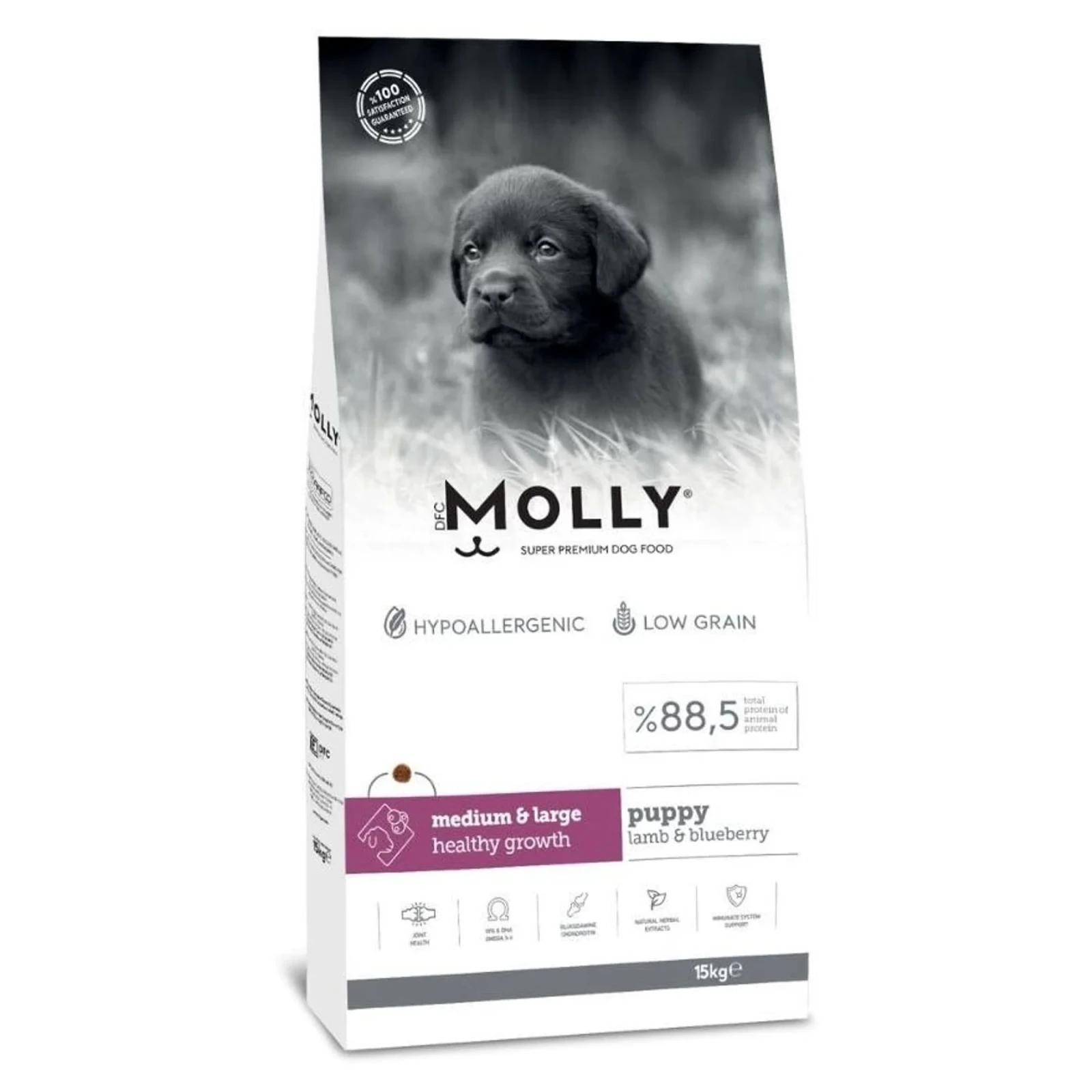 Molly Hipoalerjenik Düşük Tahıllı Kuzu Etli ve Yaban Mersinli Büyük Irk Yavru Köpek Maması 15 KG