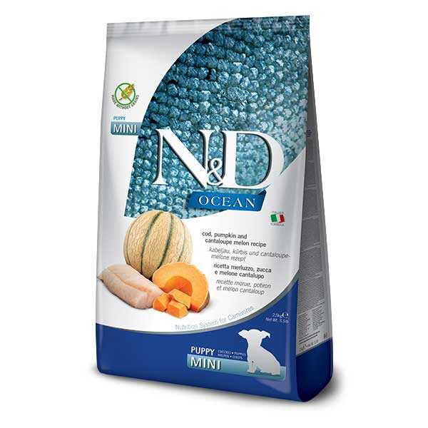 N&D Ocean Balkabaklı Morina Balıklı ve Kavunlu Küçük Irk Yavru Köpek Maması 2.5 kg