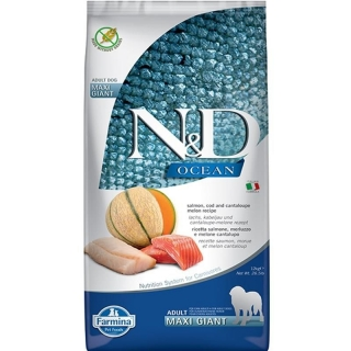 N&D Ocean Somon ve Morina Balıklı Kavunlu Büyük ve Orta Irk Yetişkin 12 kg