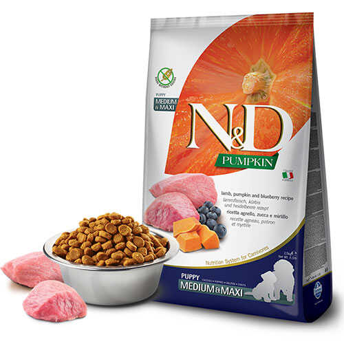 N&D Pumpkin Balkabaklı Kuzulu Yaban Mersinli Orta ve Büyük Irk Tahılsız Yavru Köpek Maması 12 Kg