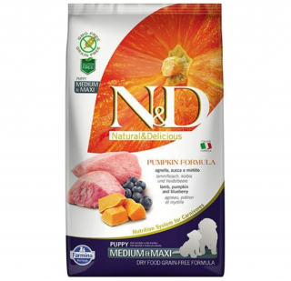 N&D Tahılsız Medium Maxi Puppy Balkabağı Kuzu Eti ve Yaban Mersinli 2.5 kg