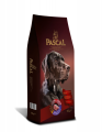 Pascal Kuzu Etli Yetişkin 15 kg