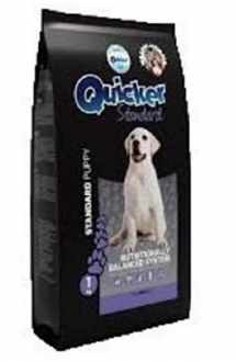 Quicker Standart Puppy Yavru 3 kg