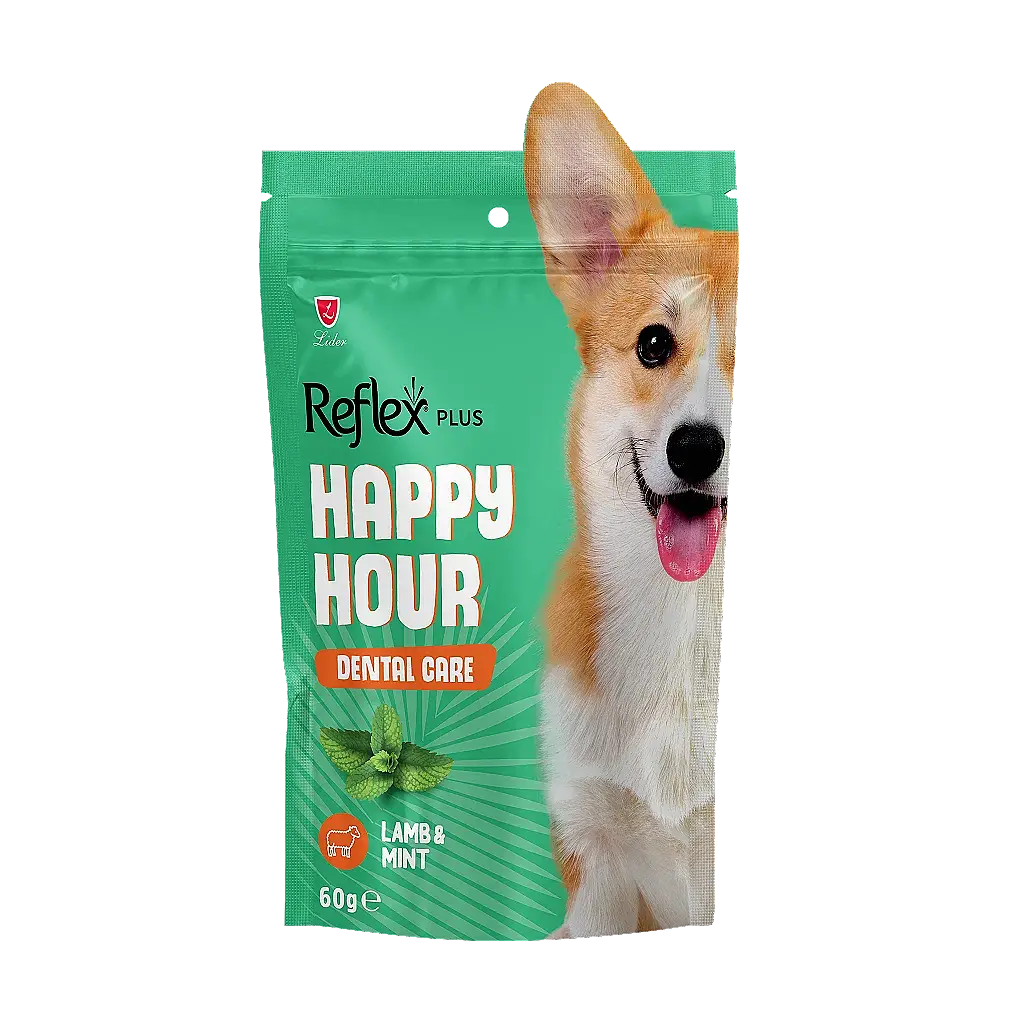 Reflex Plus Happy Hour Ağız ve Diş Sağlığı Destekleyici Köpek Ödül Maması 60 gr