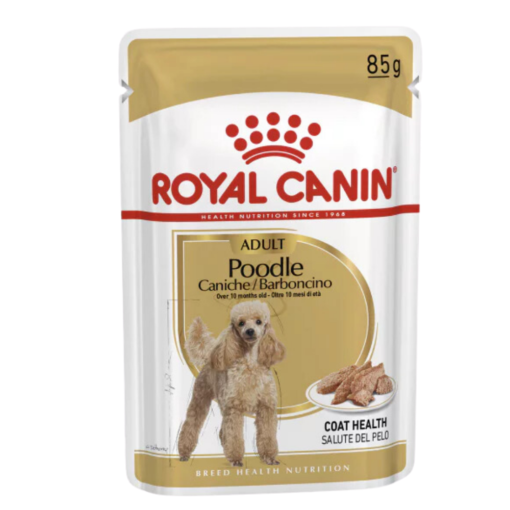 Royal Canin Adult Poodle Caniche Tüy Sağlığı Destekleyici Yetişkin Köpek Konservesi 85gr