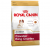 Royal Canin Cavalier King Charles Junior 1.5 kg