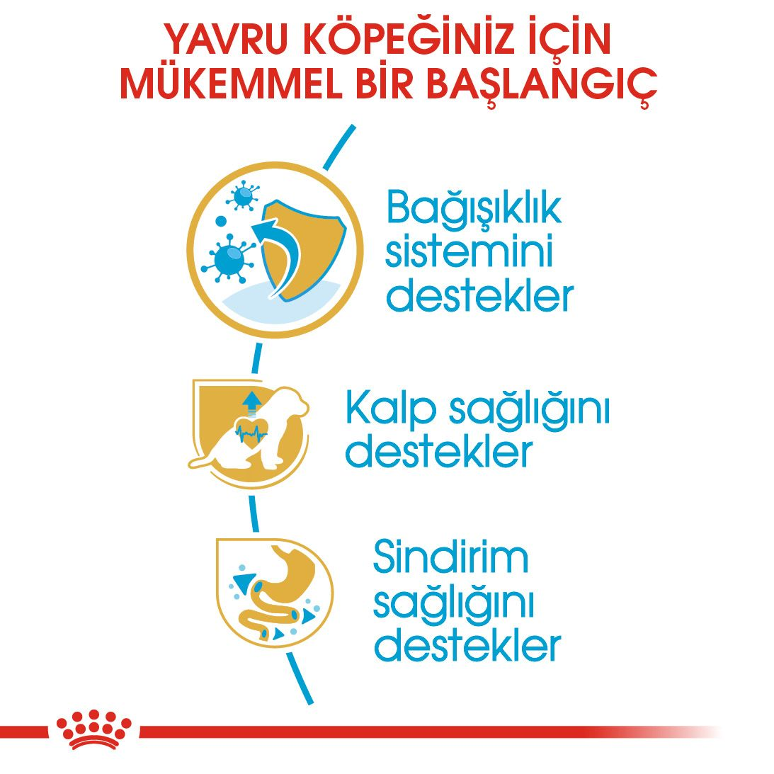 Royal Canin Cavalier King Charles Puppy Yavru Köpek Kuru Maması görsel 2
