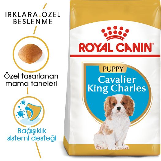 Royal Canin Cavalier King Charles Puppy Yavru Köpek Kuru Maması