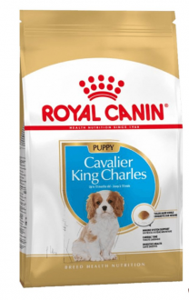 Royal Canin Cavalier King Charles Yavru 5 kg