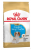 Royal Canin Cavalier King Charles Yavru 5 kg