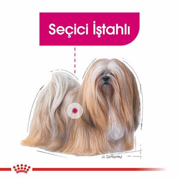 Royal Canin Ccn Exigent Loaf Pate Pouch Küçük Irk Yetişkin Köpek Konservesi 85 Gr görsel 2