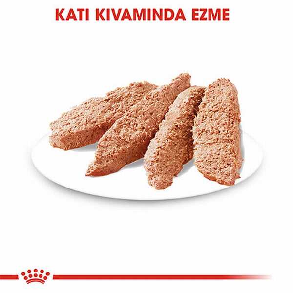 Royal Canin Ccn Exigent Loaf Pate Pouch Küçük Irk Yetişkin Köpek Konservesi 85 Gr görsel 3