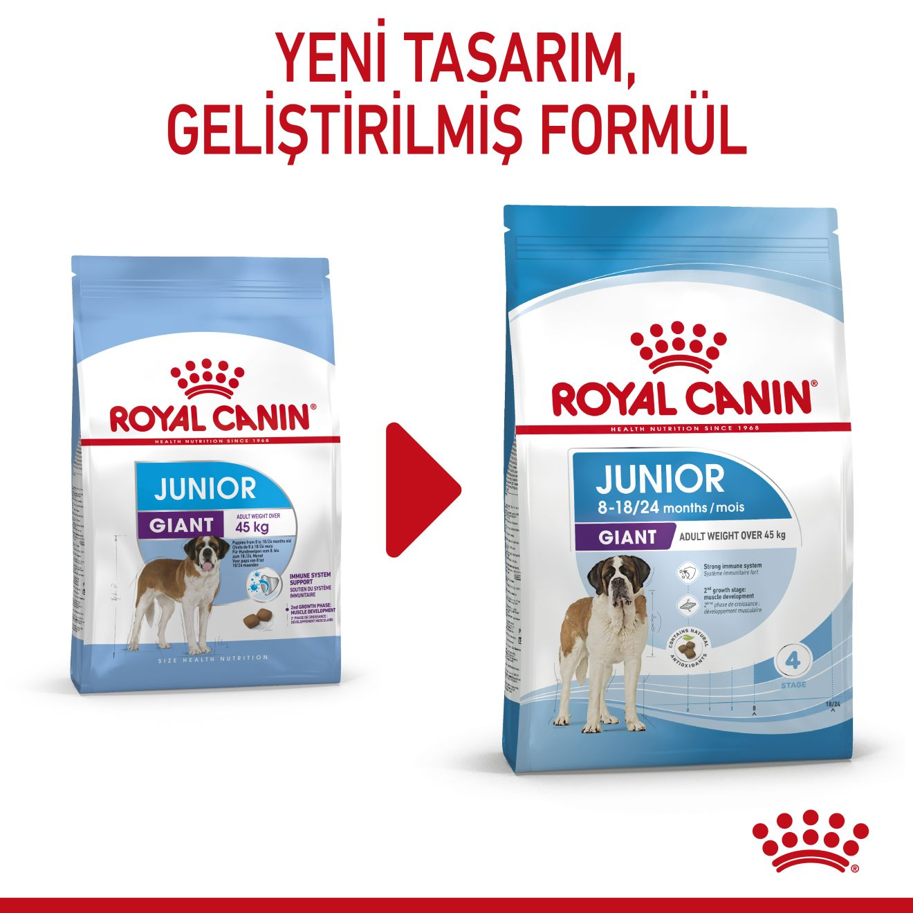 Royal Canin Giant Junior Yavru Köpek Kuru Maması görsel 2
