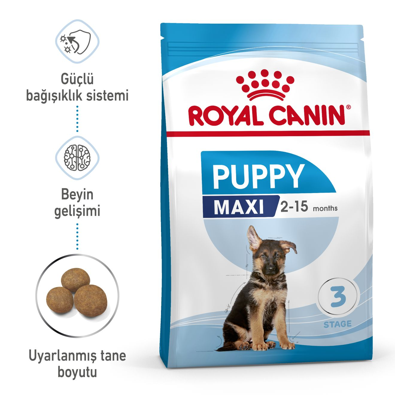 Royal Canin Maxi Puppy Yavru Köpek Kuru Maması