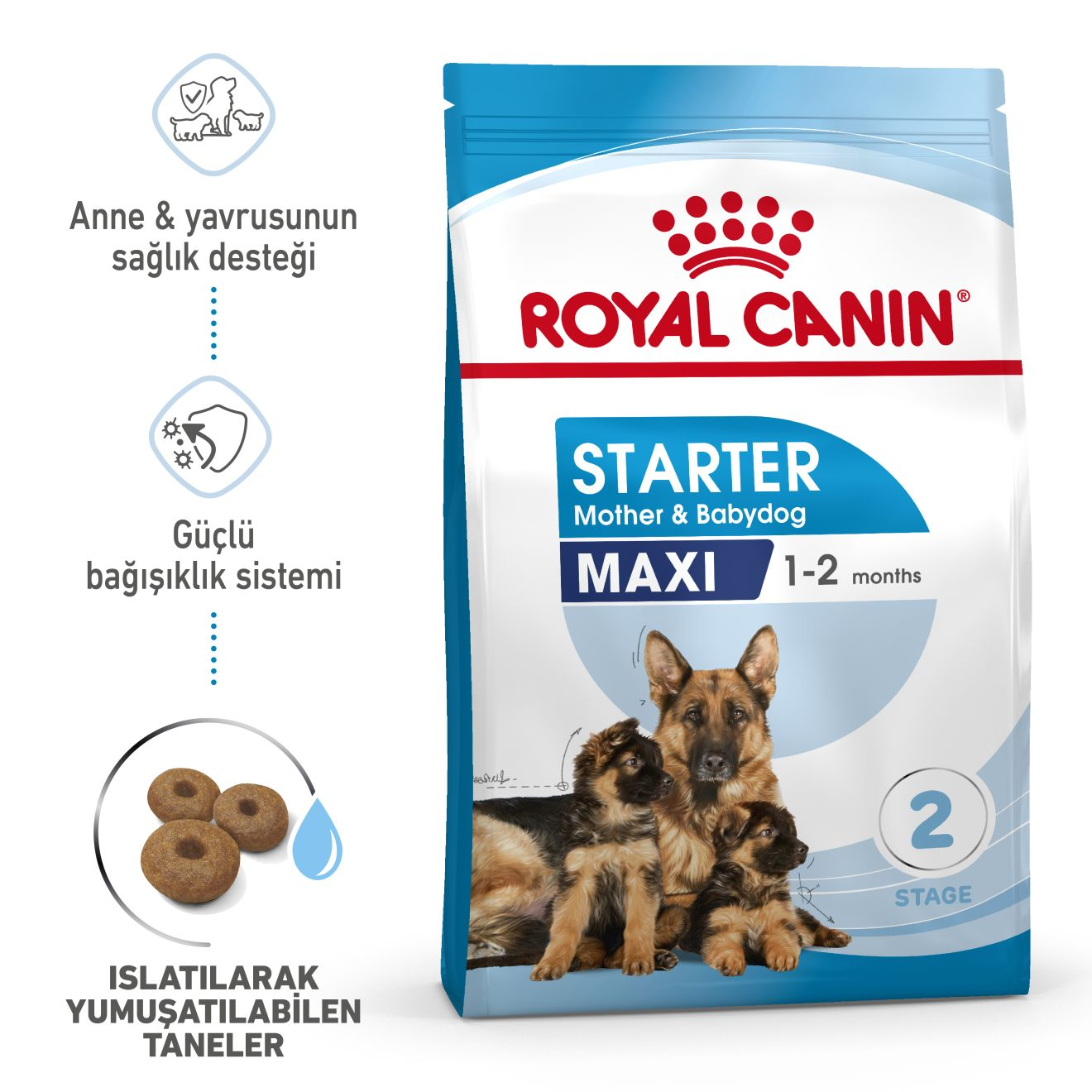 Royal Canin Maxi Starter Yavru Köpek Kuru Maması