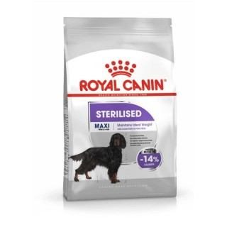 Royal Canin Maxi Steril Kısır 9 kg