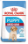 Royal Canin Medium Junior 15 kg