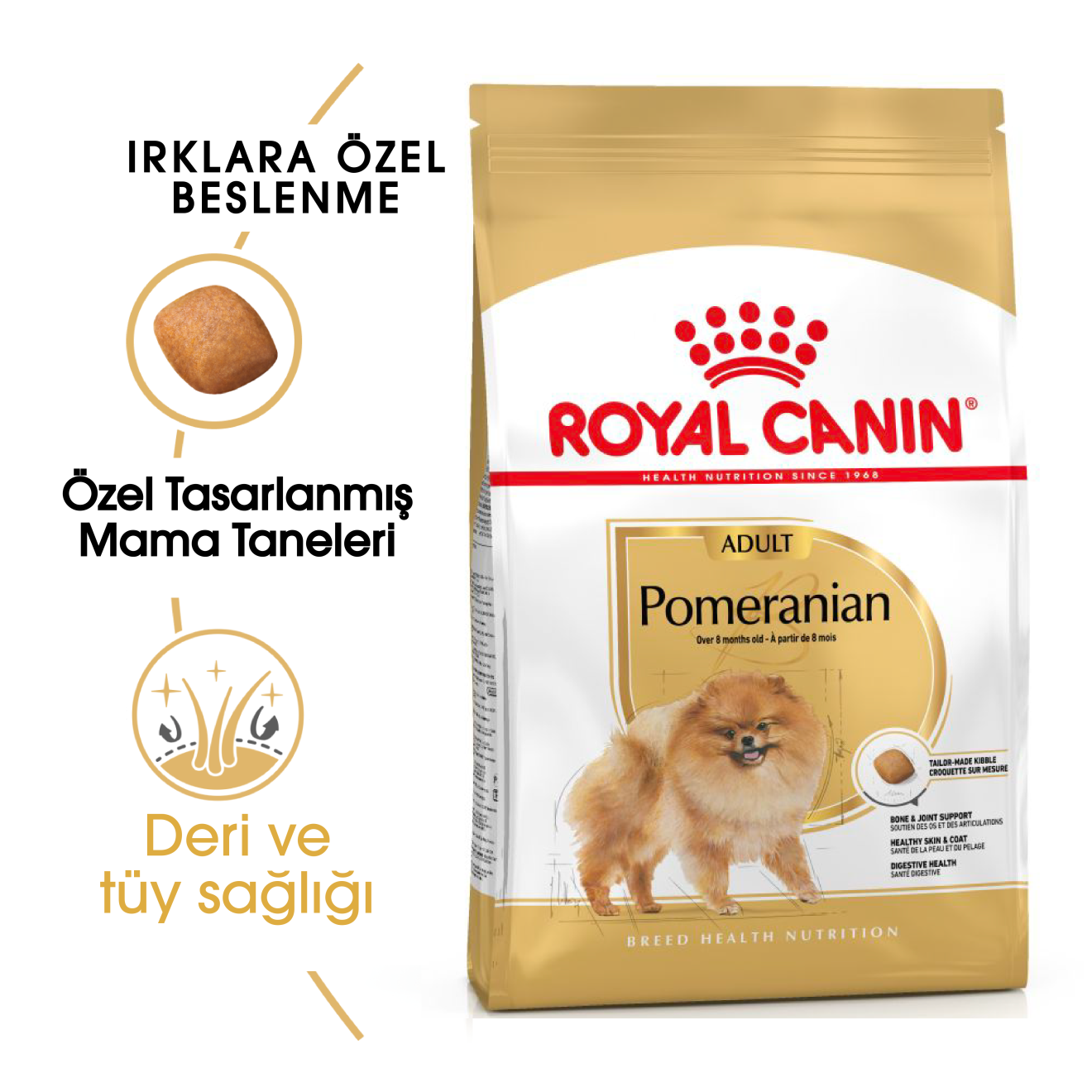 Royal Canin Pomeranian Yetişkin 3 kg