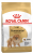 Royal Canin Pomeranian Yetişkin 3 kg