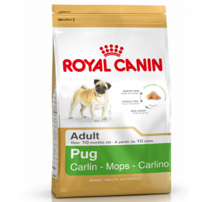 Royal Canin Pug Adult 1.5 kg
