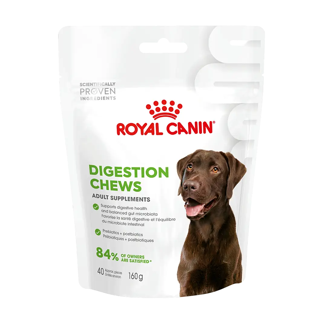 Royal Canin Sindirim Sistemini Destekleyen Tamamlayıcı Yetişkin Köpek Ödül Maması 160 gr