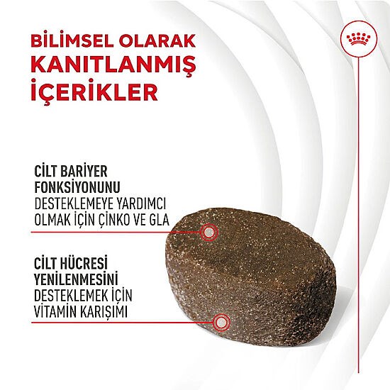 Royal Canin Skin & Coat Chews Deri ve Tüy Sağlığını Destekleyen Yetişkin Köpek Ödül Maması 240Gr görsel 3