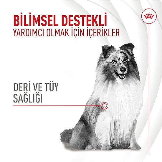 Royal Canin Skin & Coat Chews Deri ve Tüy Sağlığını Destekleyen Yetişkin Köpek Ödül Maması 240Gr görsel 2