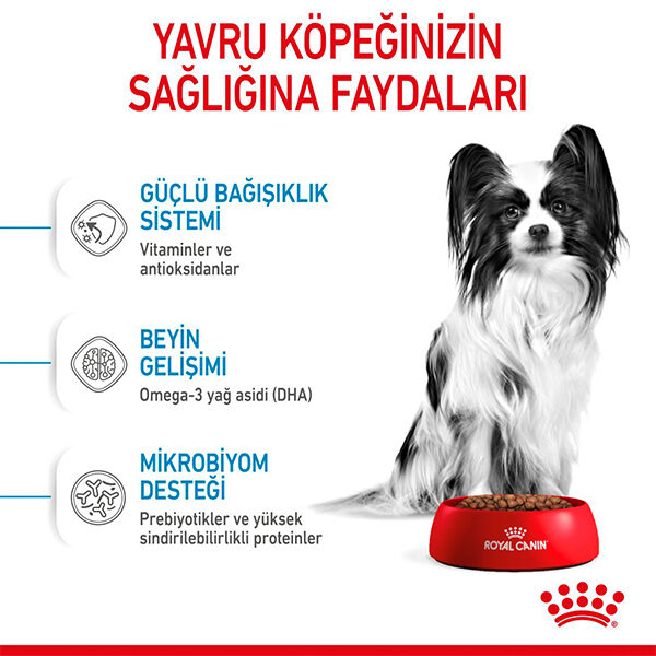 Royal Canin X-Small Puppy Küçük Irk Yavru Köpek Maması 3 kg görsel 5