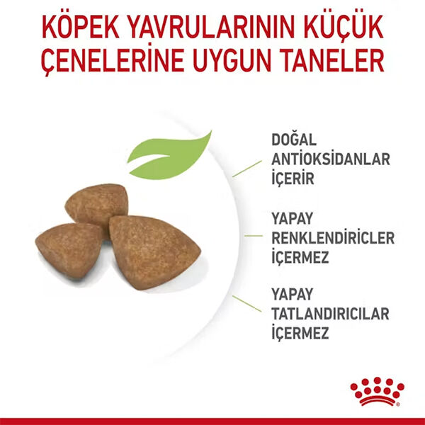 Royal Canin X-Small Puppy Küçük Irk Yavru Köpek Maması 3 kg görsel 2