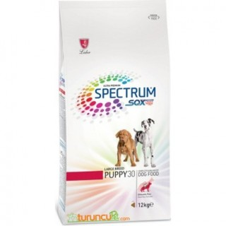 Spectrum Büyük Irk Yavru 30 3 kg
