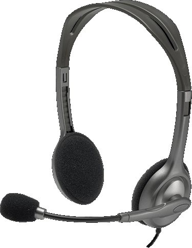Logitech H110