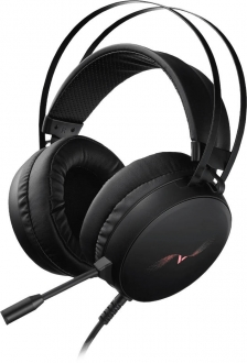 Rapoo VH310