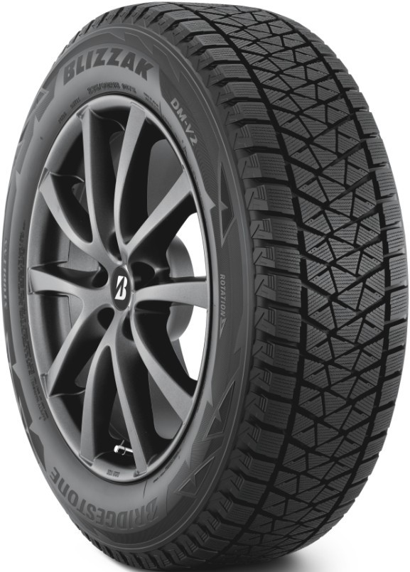Bridgestone Blizzak DM V2 285/45 R22 110T