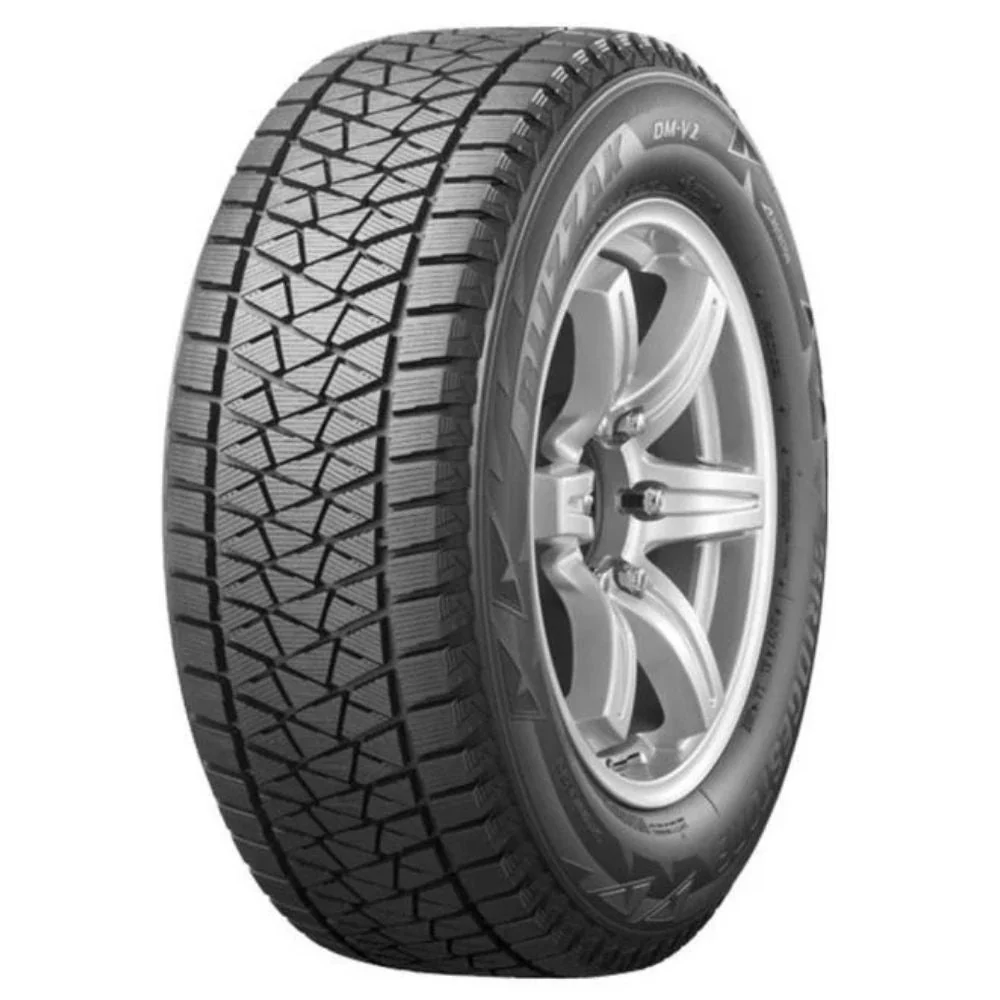 Bridgestone Blizzak DM V2 285/45 R22 110T