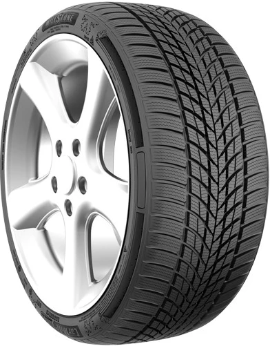 Milestone Carmile Winter 205/55 R16 91H