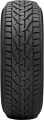 Riken Snow 245/45 R18 100V XL