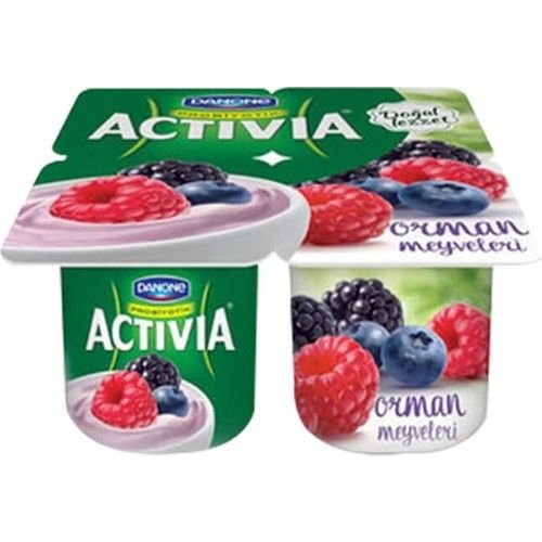 Activia Orman Meyveli 4x100 Gr