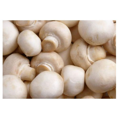 Mantar Paket 400 G