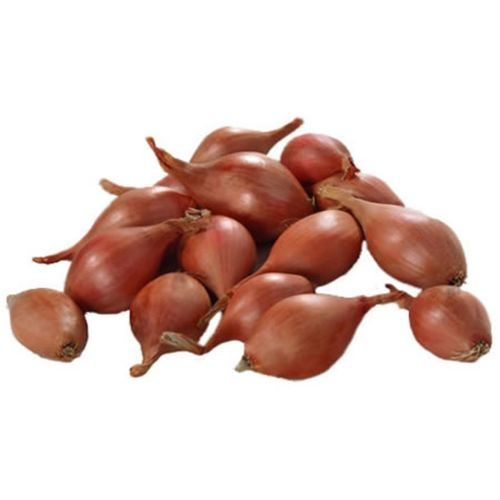 Paket Fasulye 500 Gr
