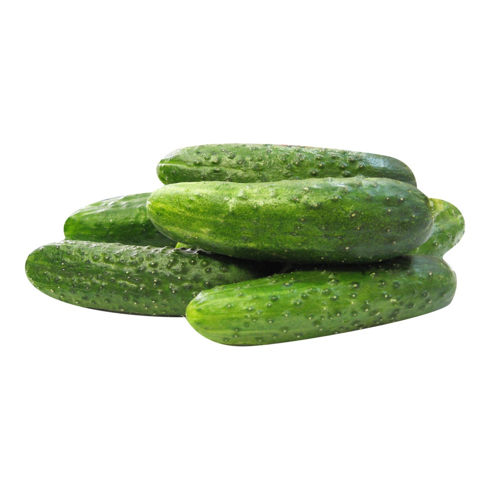 Turşuluk Kornişon 1 Kg