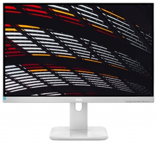 AOC X24P1/GR