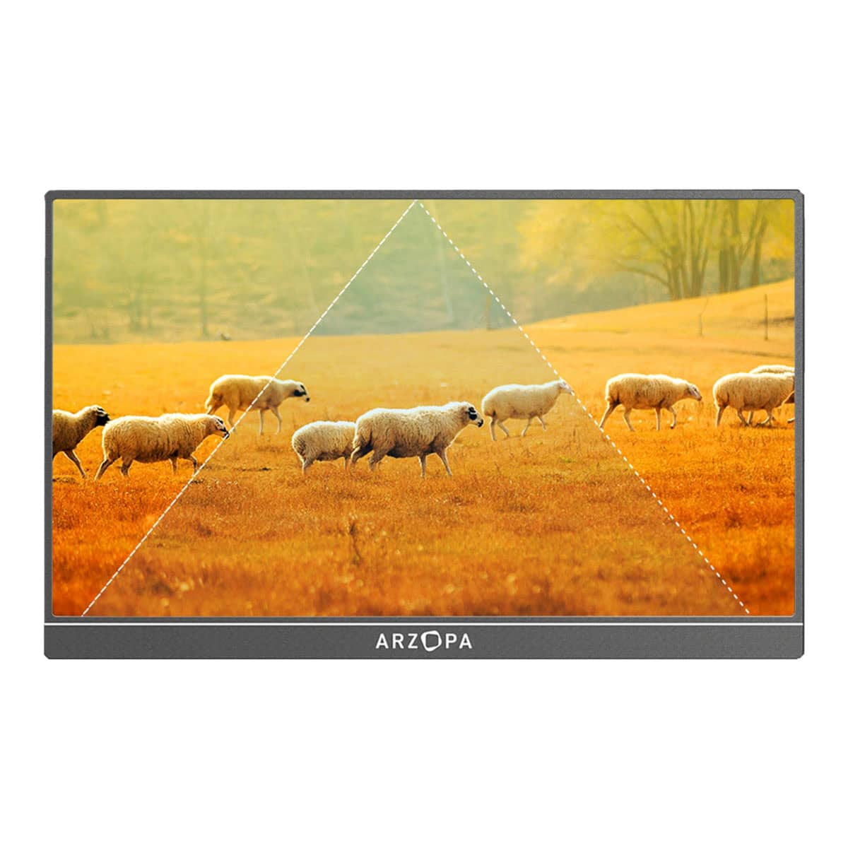 Arzopa A1 Gamut