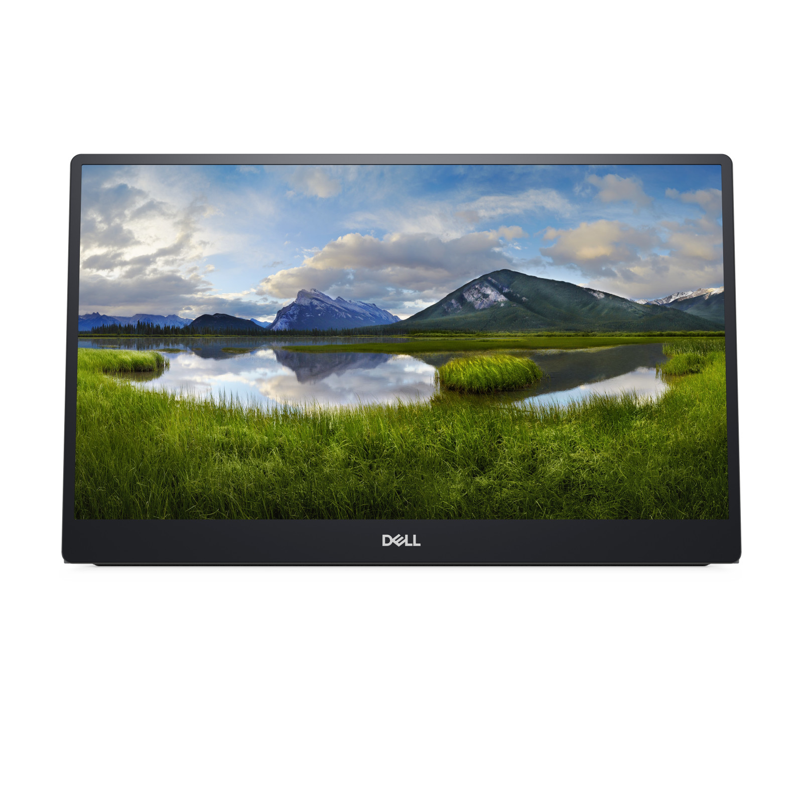 Dell P1424H