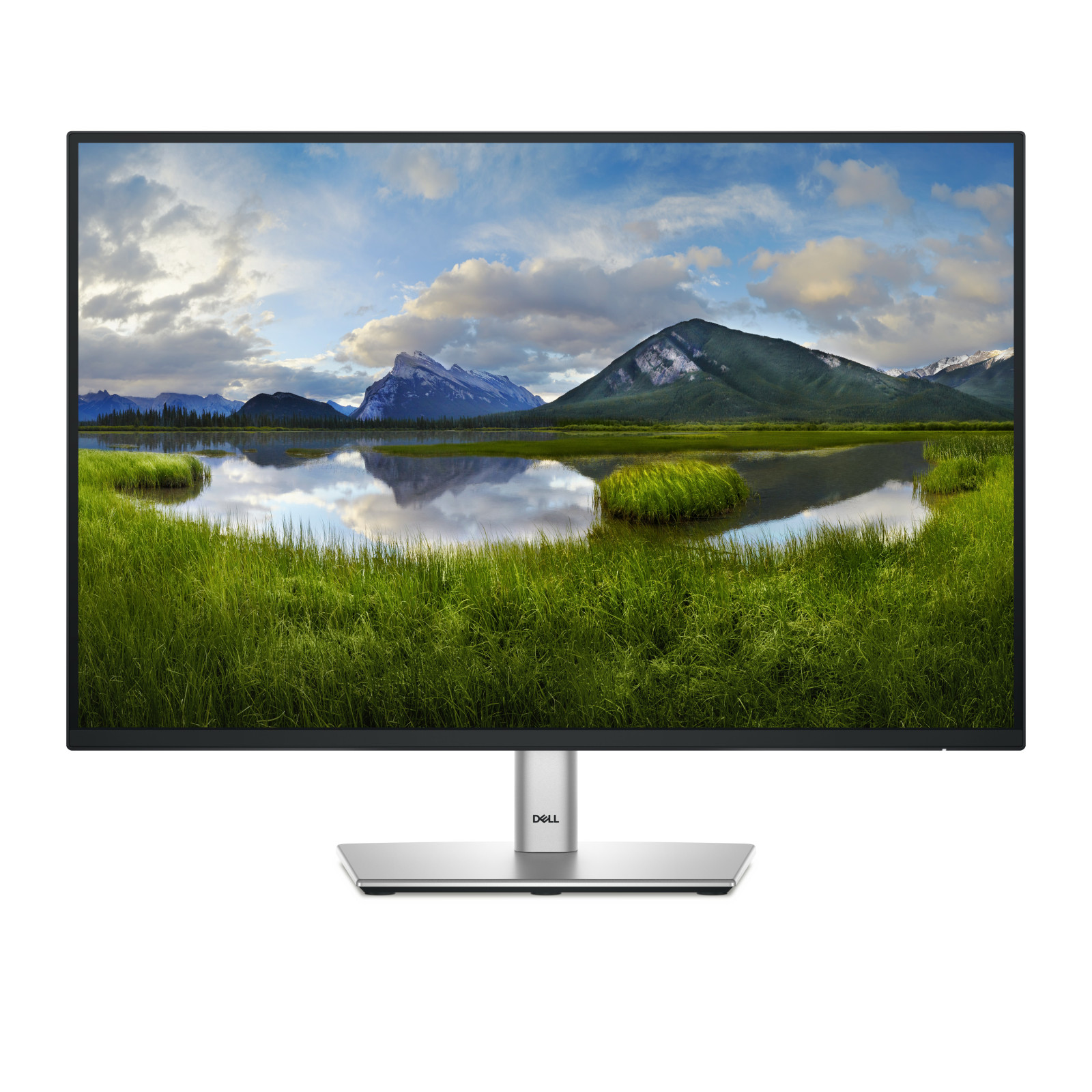 Dell P2425E