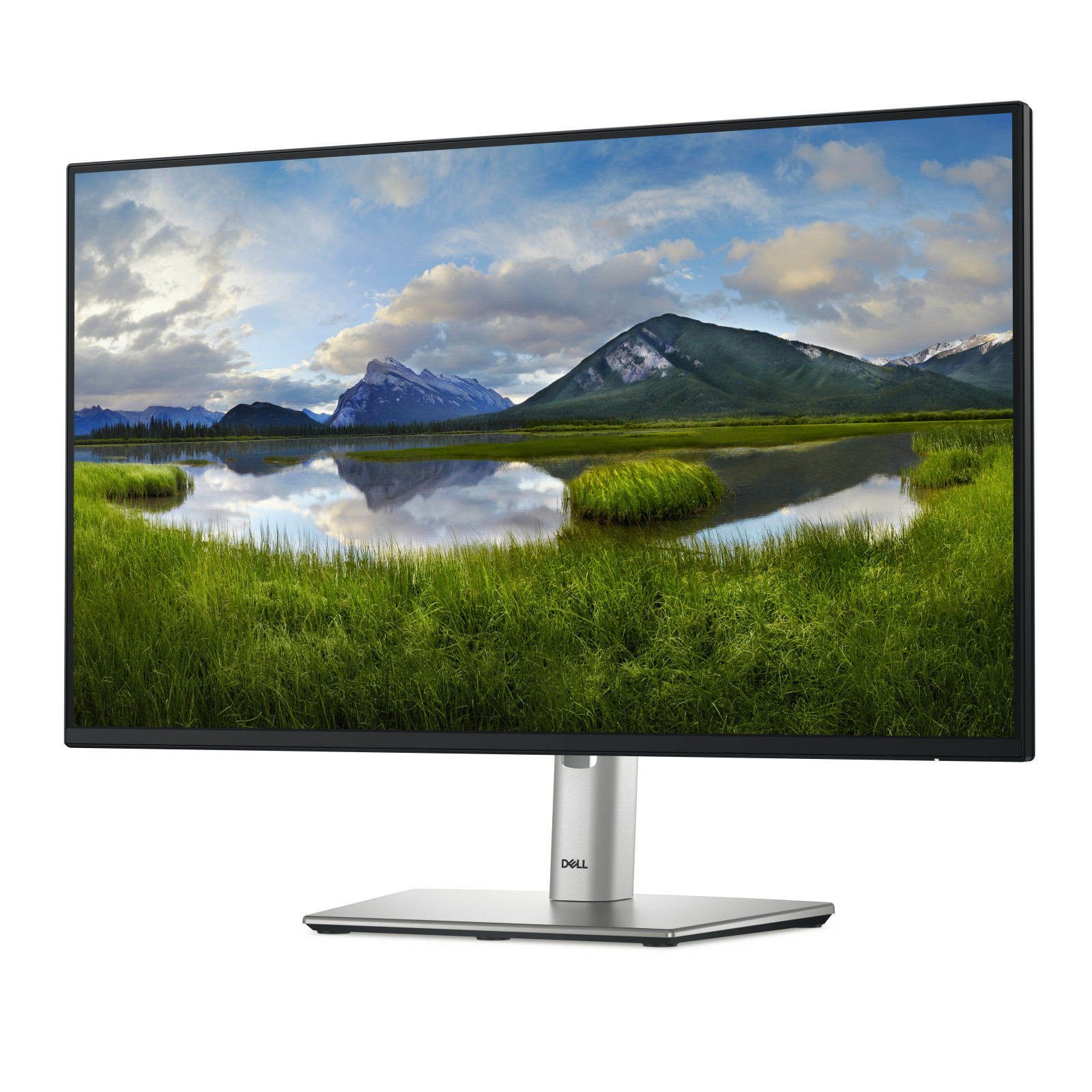 Dell P2425HE görsel 2