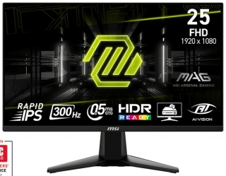 MSI MAG 255XF