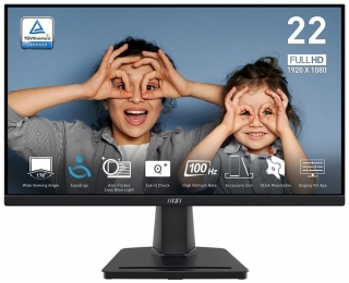 MSI Pro MP225V