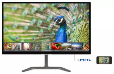 Philips 246E7QDAB/00